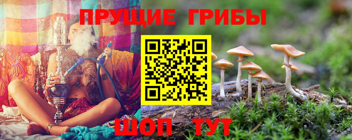 Галлюциногенные грибы MAGIC MUSHROOMS  Вход с VPN  Чусовой 