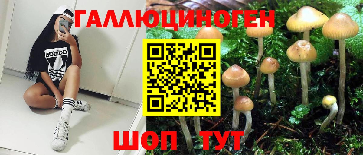 Псилоцибиновые грибы Psilocybe Чусовой