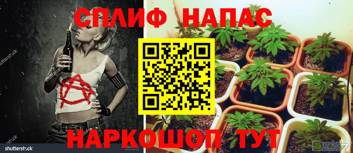 Чусовой  Бошки марихуана тримм  Вход с VPN  Шишки марихуана OG Kush  Шишки марихуана White Widow 
